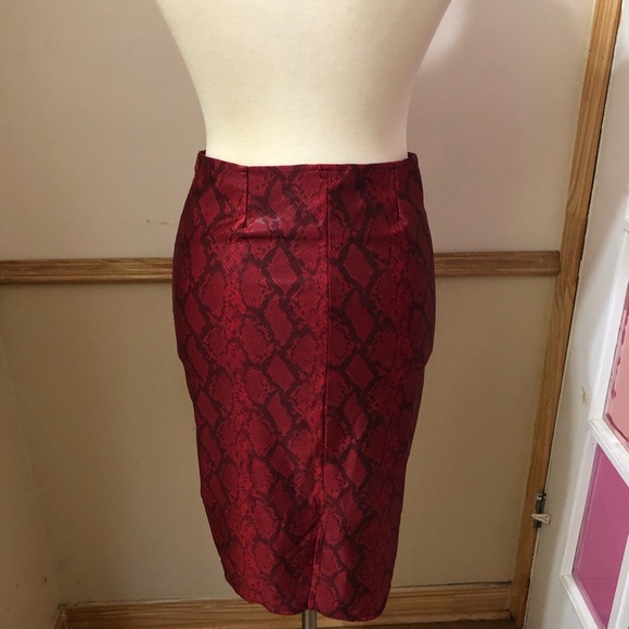 Python print red skirt - Picture 3 of 4